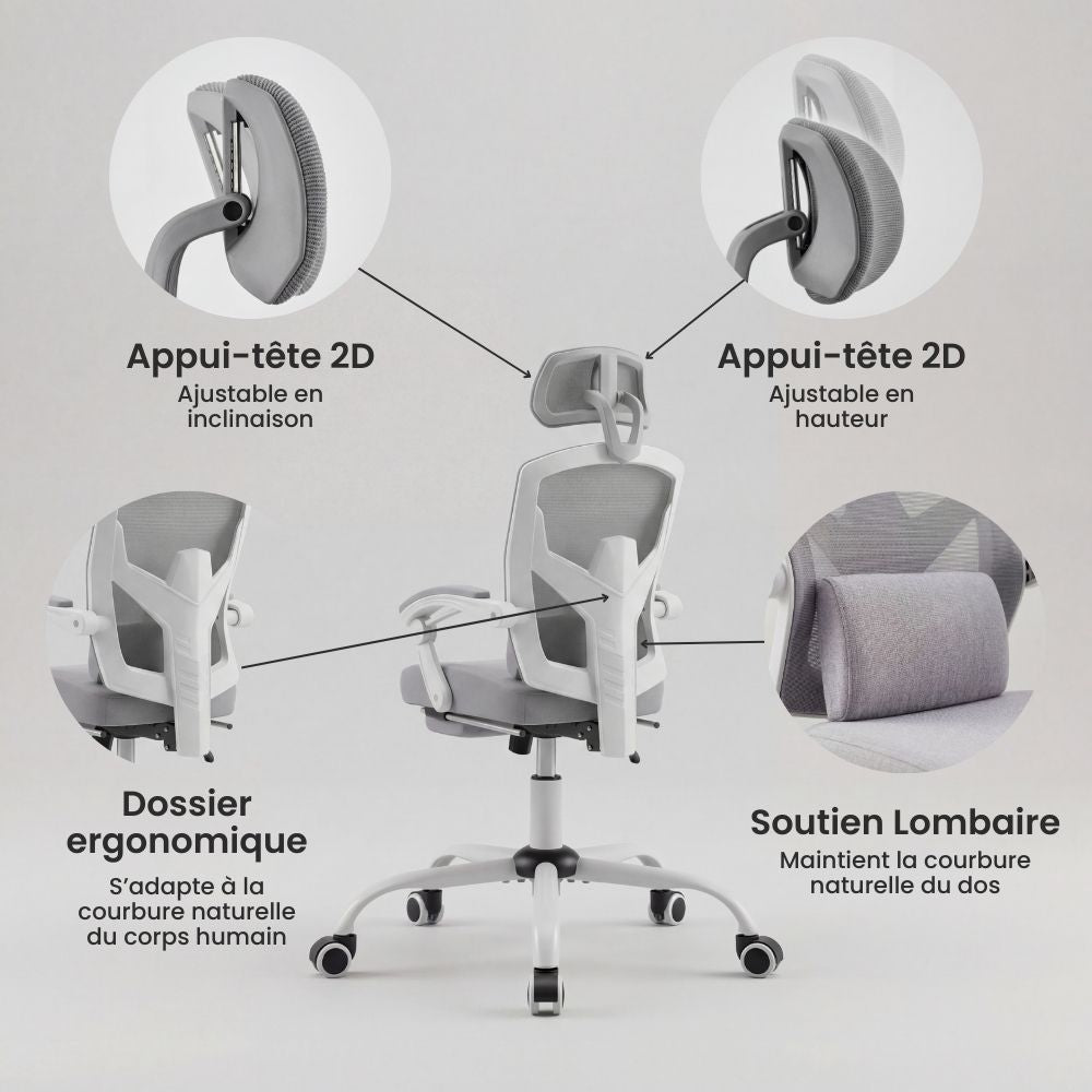 Caractéristiques du dossier ergonomique, appui-tête 2D et soutien lombaire.