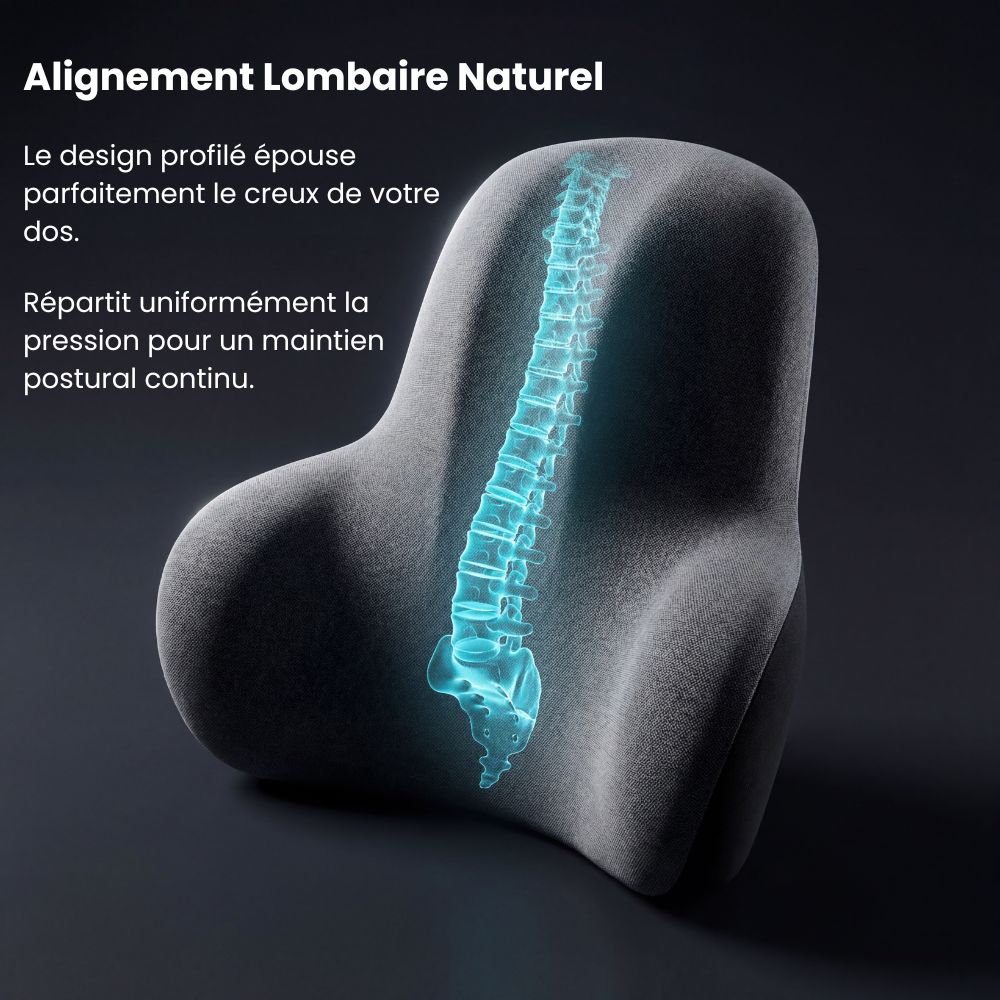 Technologie de maintien postural du coussin Dorsivia, conçu pour épouser la courbure naturelle de la colonne vertébrale et répartir la pression.